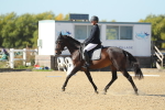 SBM_001365