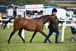 DSC_8441