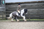 SBM_008093