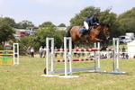 Class 10: Senior Foxhunter/1.20 open portfolio