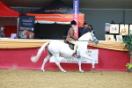 SBM_00340