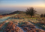 Winter Frosts 2