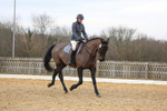 Class 6: Novice 1 2024 Section B portfolio