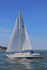 180603 CORNISH GOLD GBR2264L 1Y3A4065_Edit