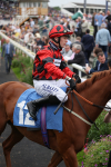 yr20082021r6-11
