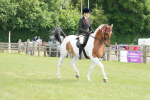 SBM_17569