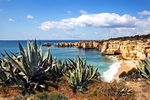 Praia da Coelha