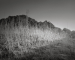 Sun Lit Grass Armscliff Crag Pinhole Photograph