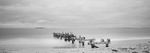 Jurien Bay pier pano