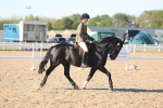 SBM_12329