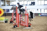 SBM_001033