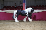 SBM_06536