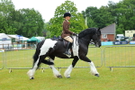 SBM_00881
