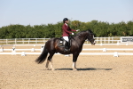 SBM_005652