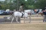 WJ7_0915