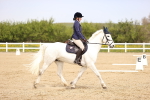 SBM_007485