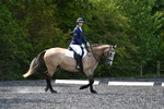 WJ5_9709
