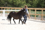20260802-1293