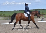 BPP_6137