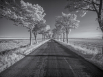 Sunk Island Vanishing Point