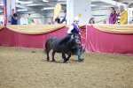SBM_14703