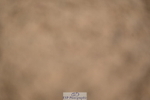 240323A-092616-00949