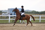 SBM_04444