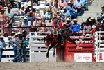 3HRodeo7-19-25_CFD_03918_