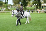 SBM_46823