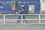 BPP_6512