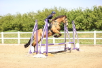 SBM_000925