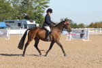 SBM_12199