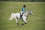 BVHT 140517  NXC -137
