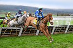 151125-Race 1-One Horse Town-2059