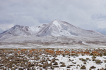 Snow Covered Altiplano
