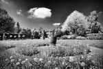 Nymans