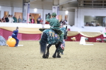 SBM_10176
