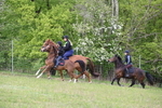 WJ6_2053