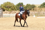 SBM_002991