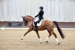 SBM_005619