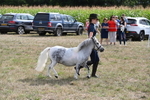 WJ6_7080