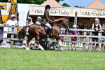 SBM_07892