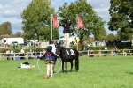 SBM_46963
