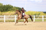 SBM_000351