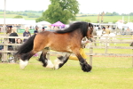 SBM_06281