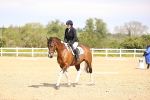 SBM_007895