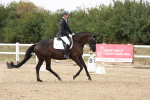 SBM_015601