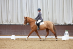 SBM_003819