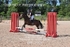 BPP_3307