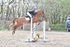 BPP_5966